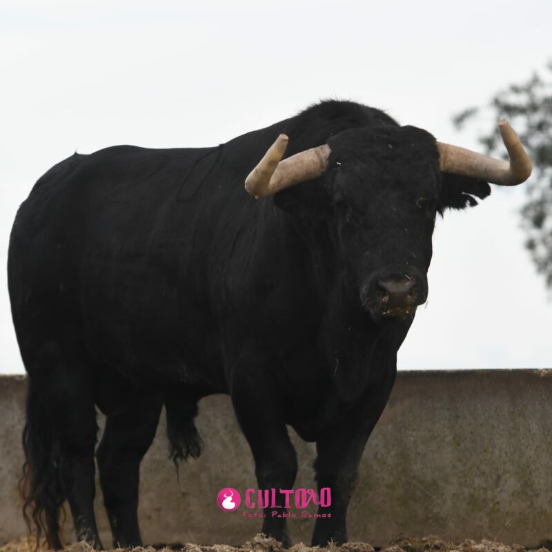 Valdefresno (22)