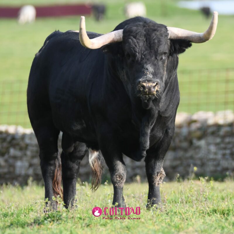 Valdefresno (23)