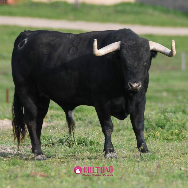 Valdefresno (24)