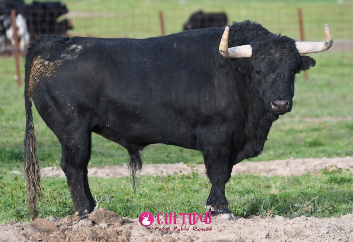Valdefresno (27)