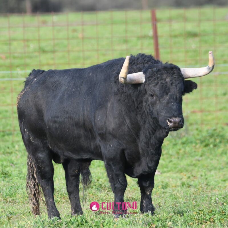 Valdefresno (29)