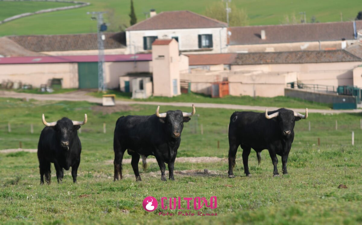 Valdefresno (30)