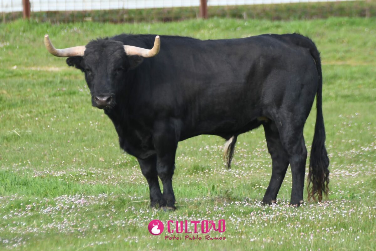 Valdefresno (33)