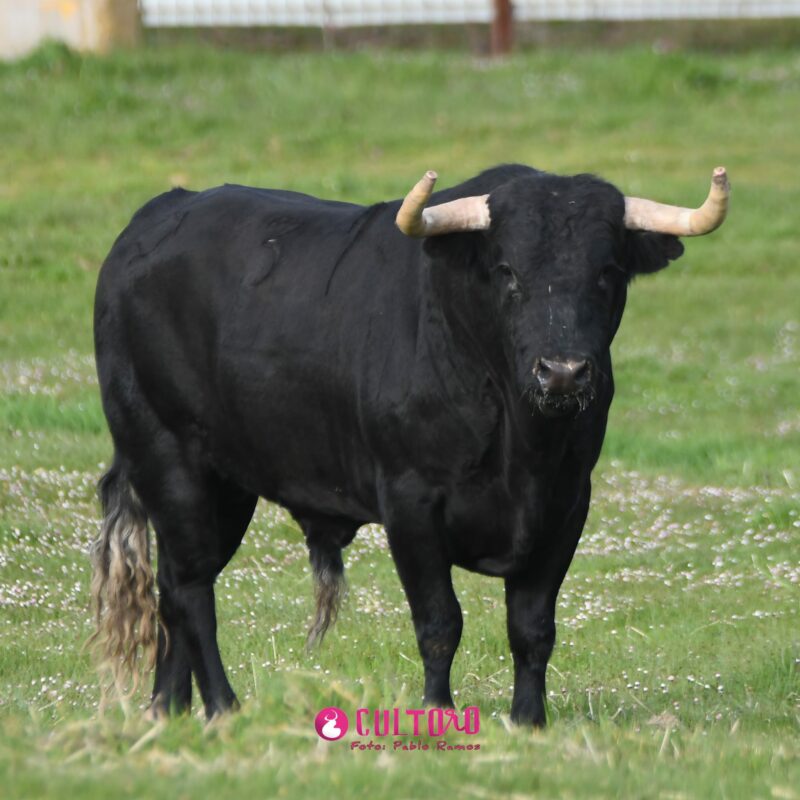 Valdefresno (34)