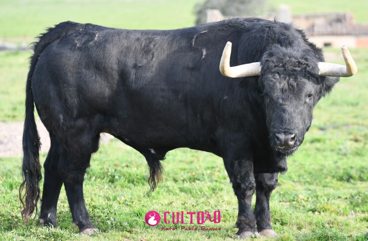 Valdefresno (36)