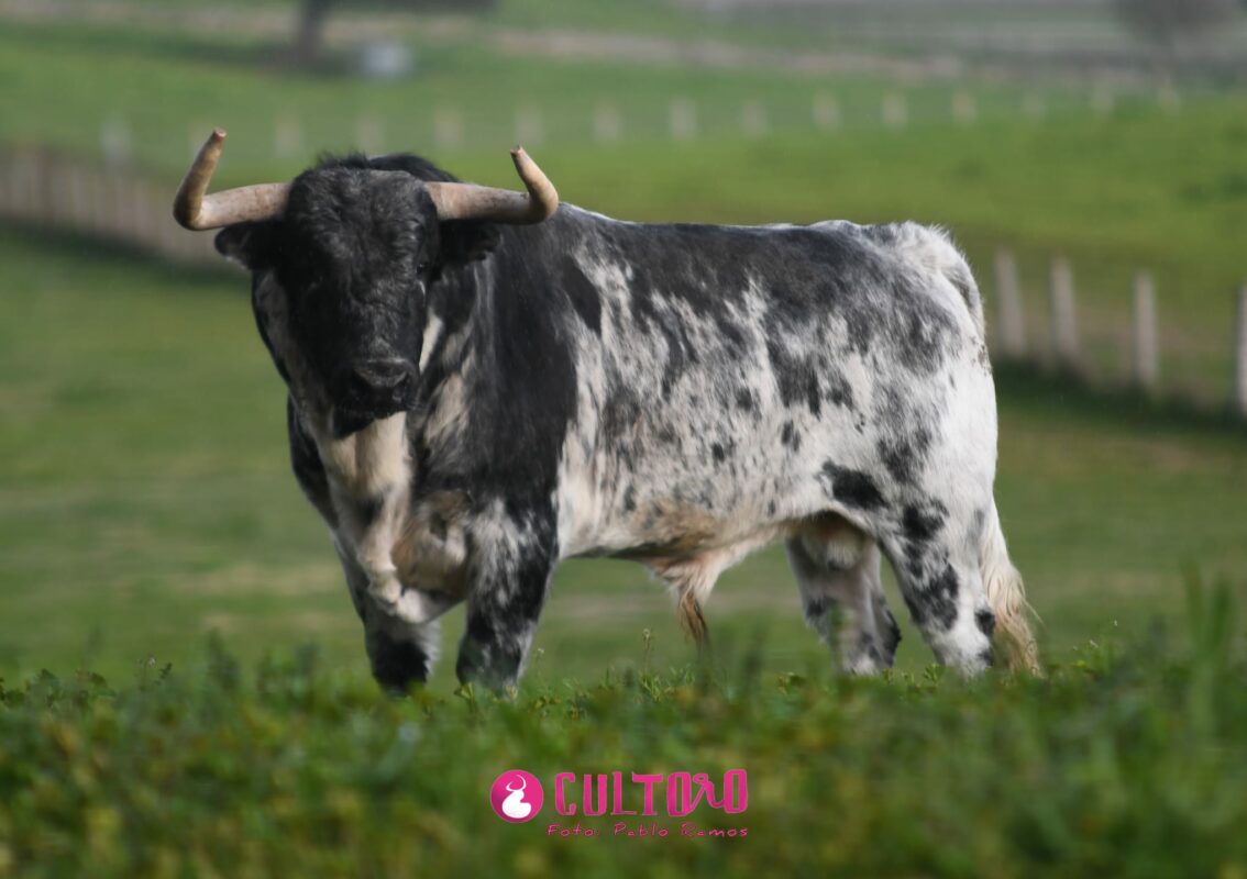 Valdefresno (37)