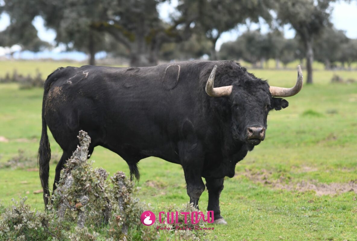 Valdefresno (5)