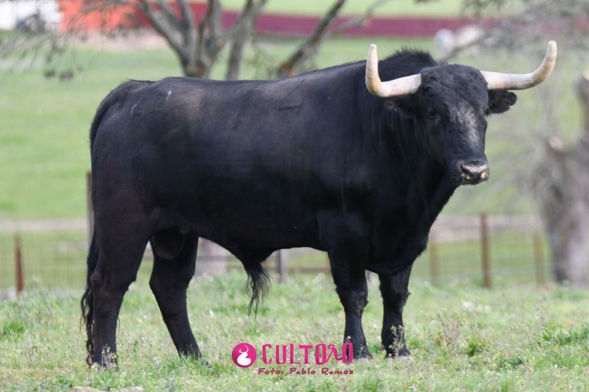 Valdefresno (6)