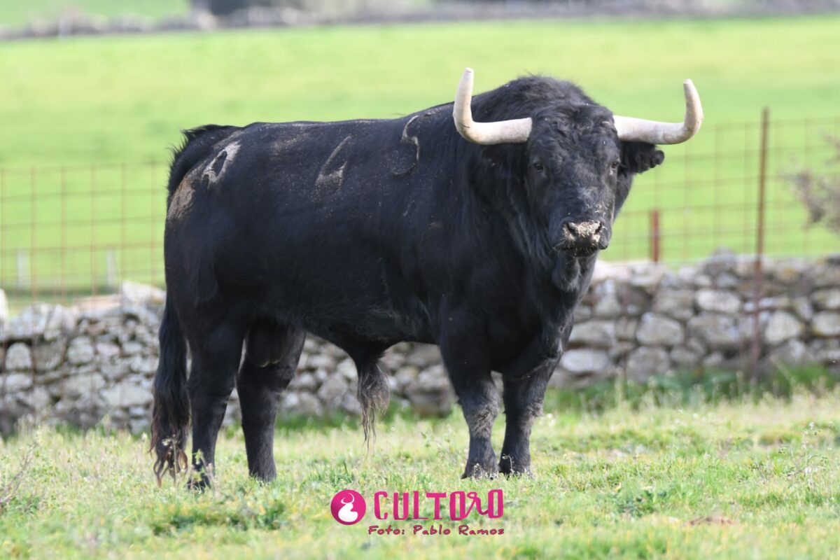 Valdefresno (7)