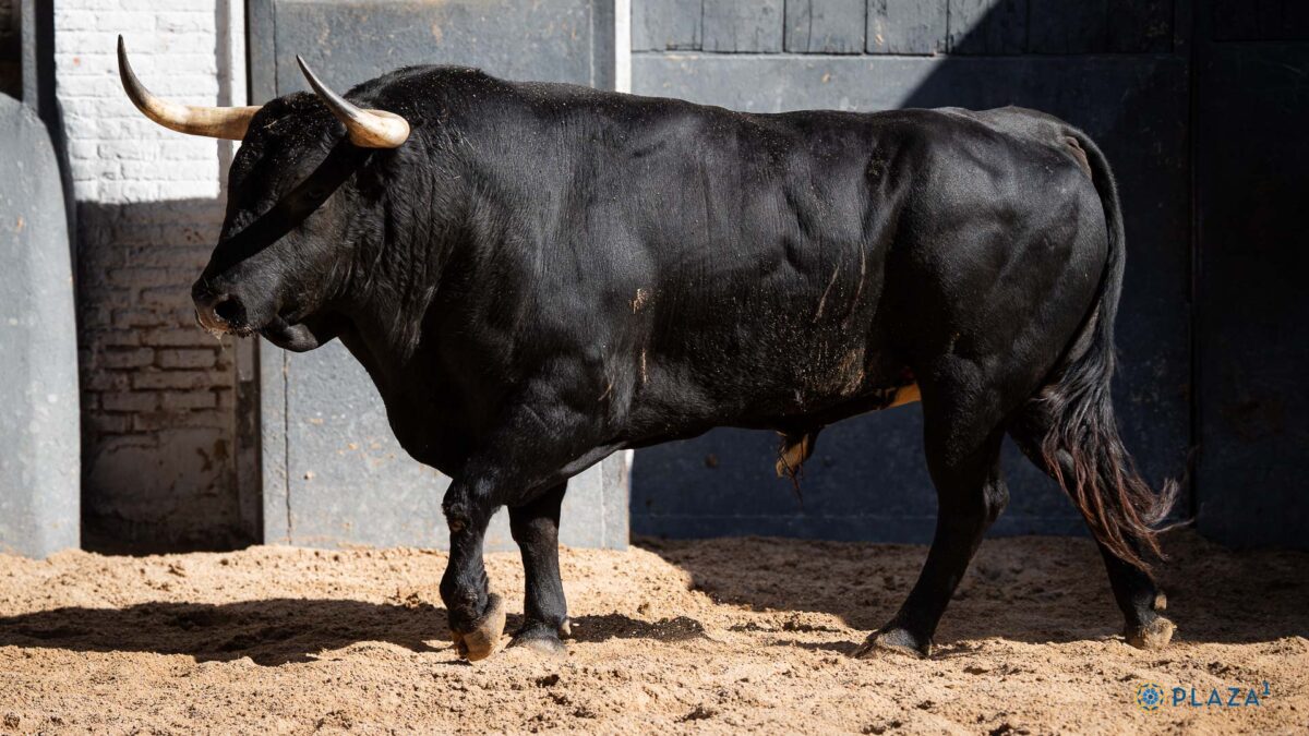 2º Castor, Nº90