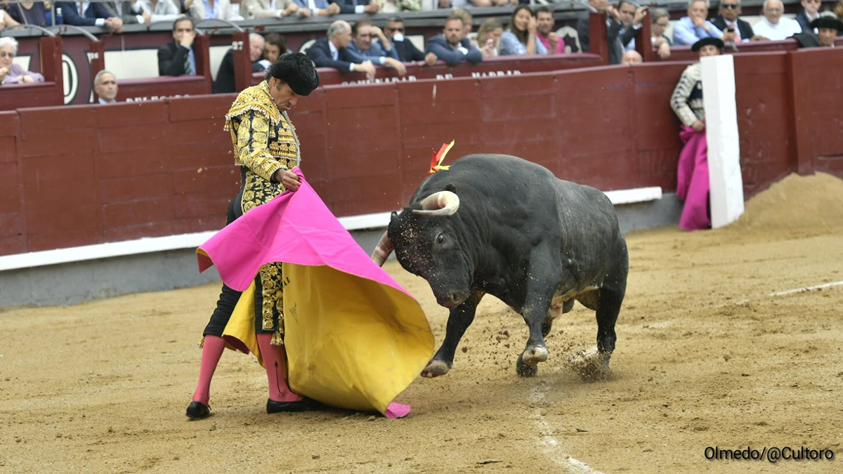 3 Uceda Leal