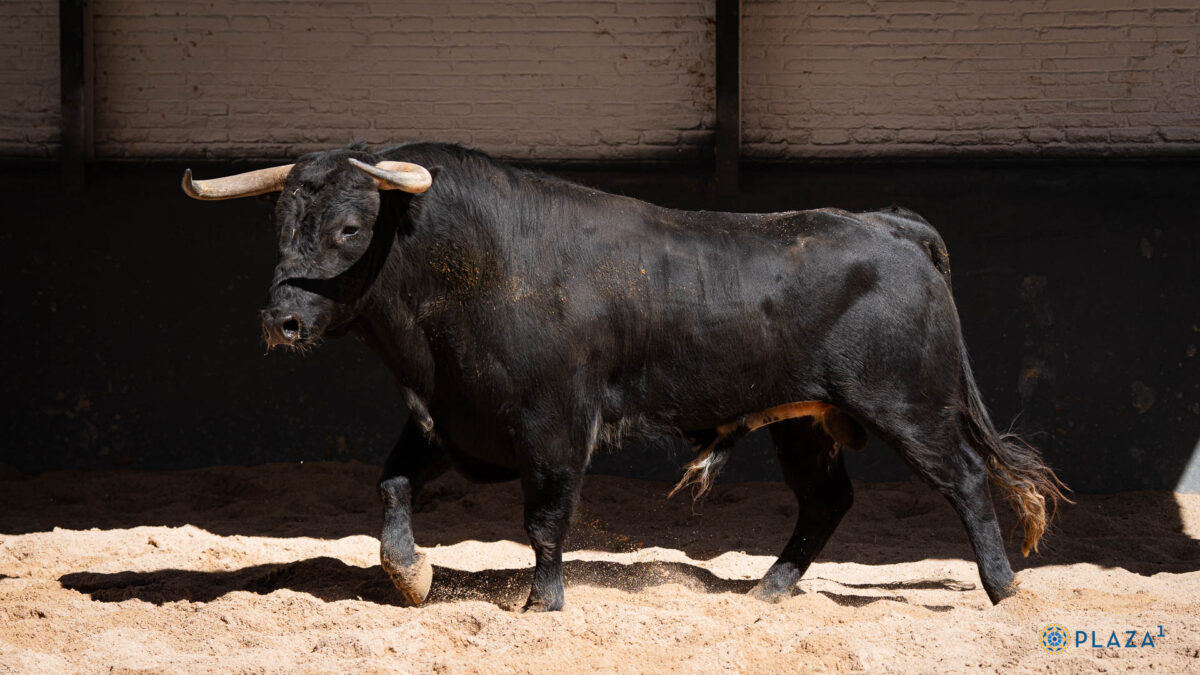 3º Carcelero, Nº57