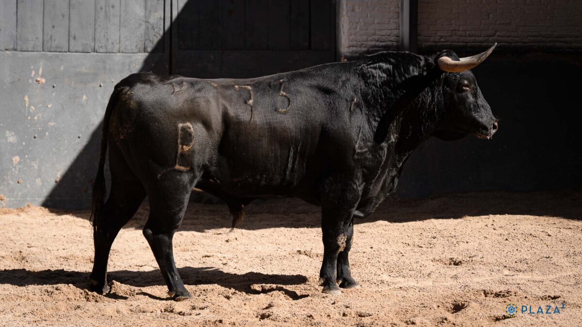 3º Jaboncito, N73, G2