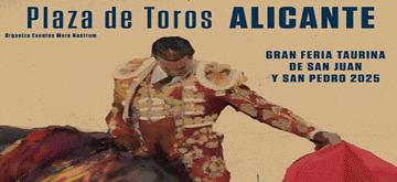 Alicante 2025 Banner 360x165