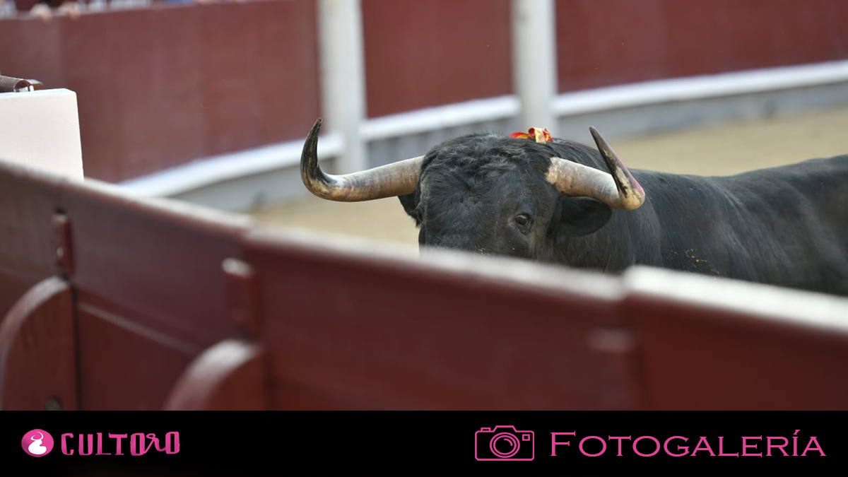 Fotogalería Madrid 16 5 2025