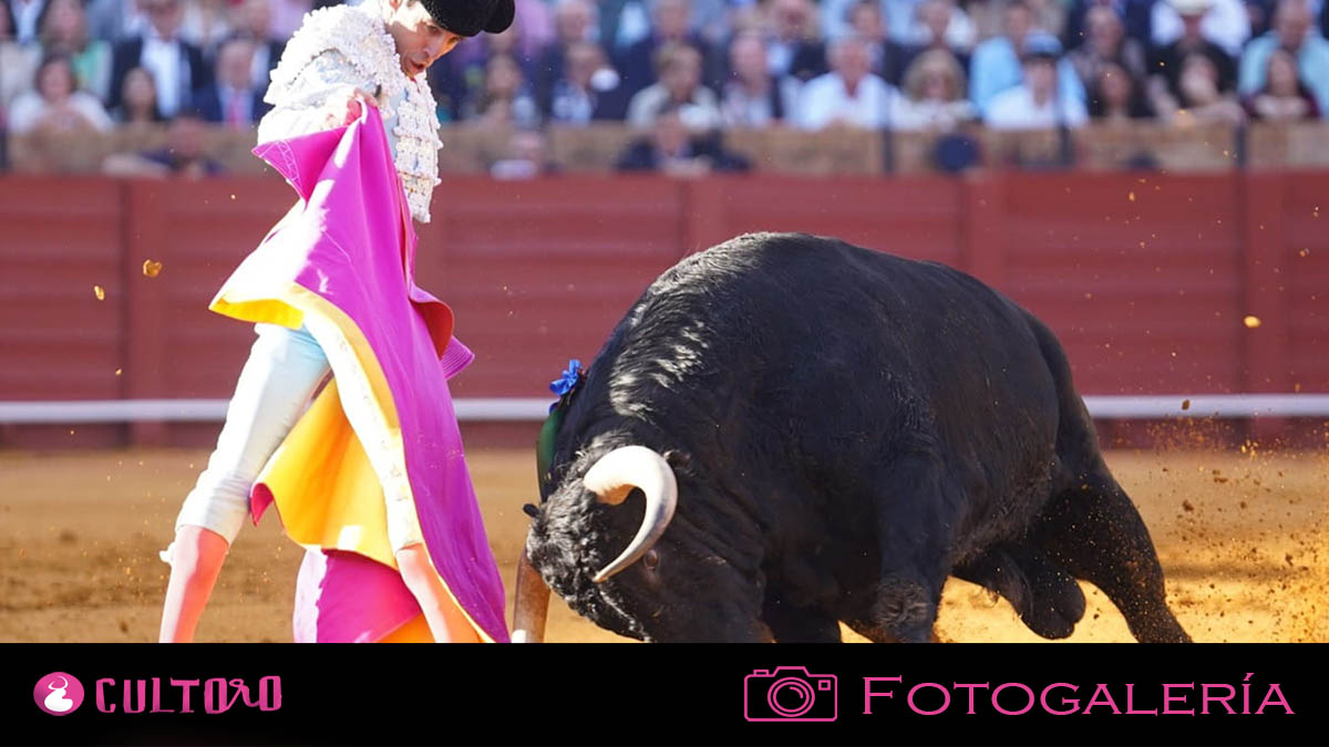 Fotogalería Sevilla 1 5 2025