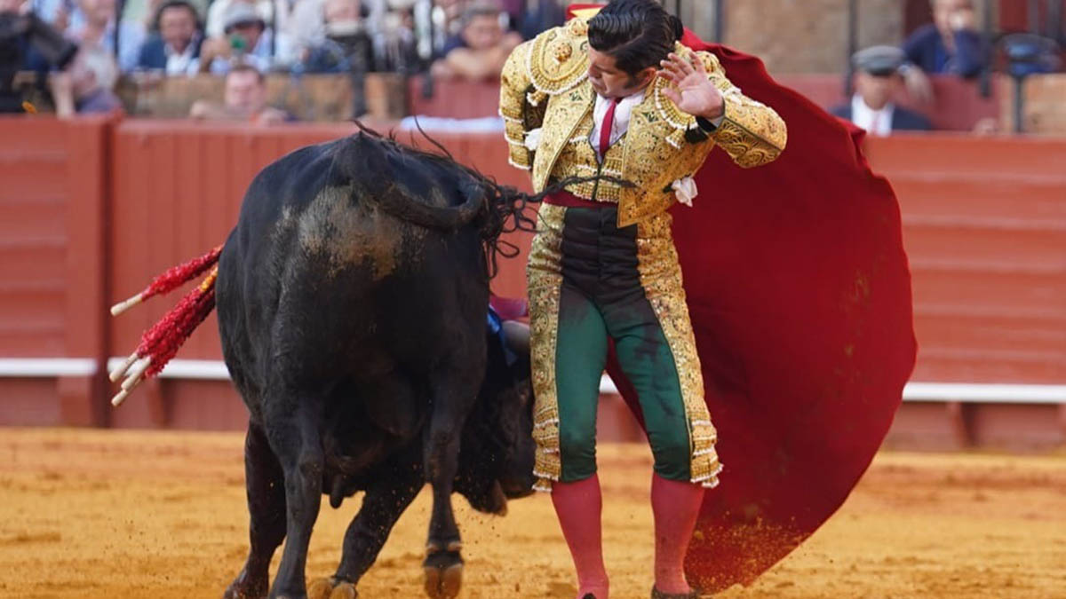 Morante 1
