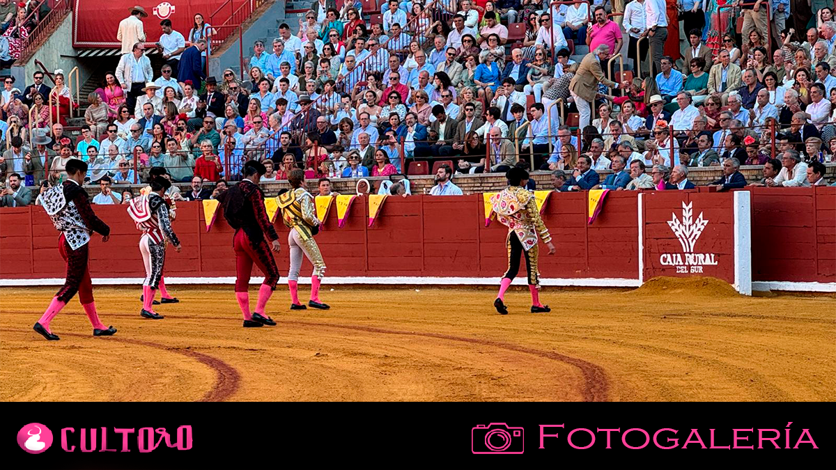 Plantilla Fotogalería