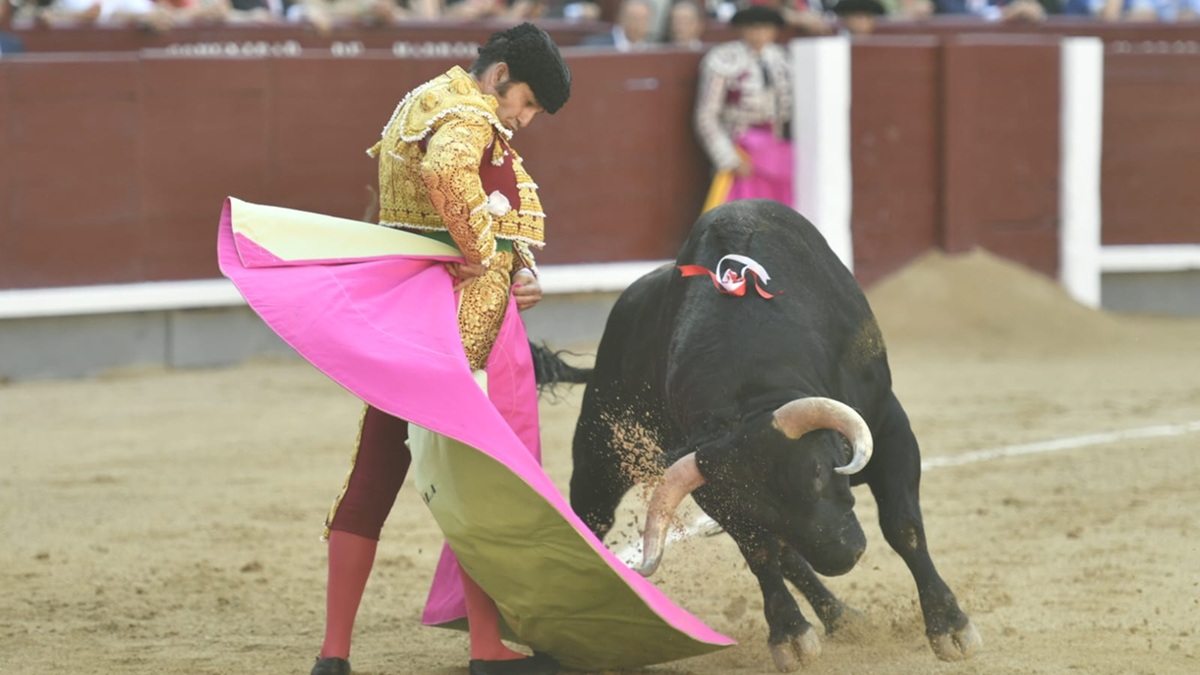 Sin Título