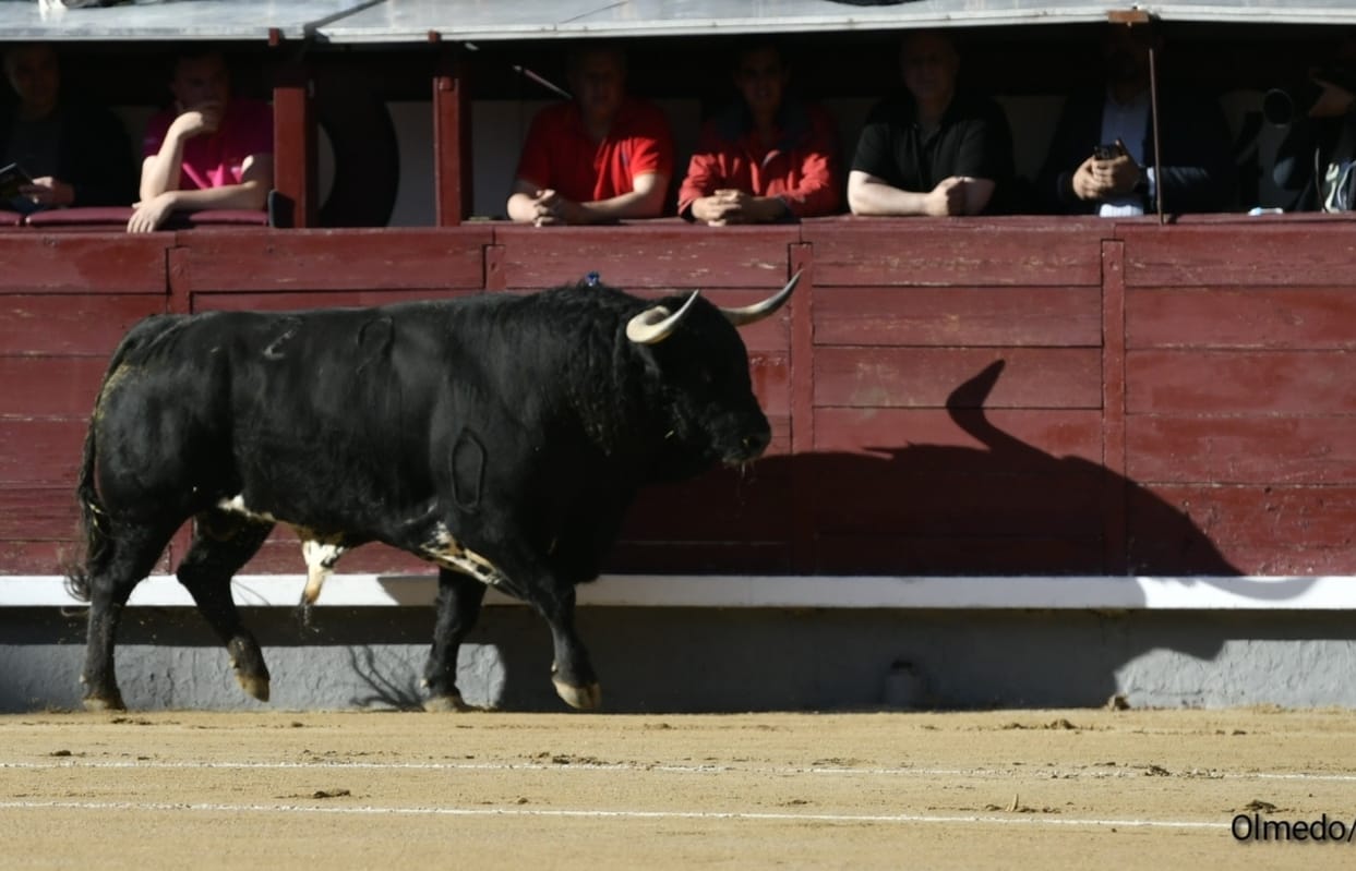 Toro De José Enrique Fraile