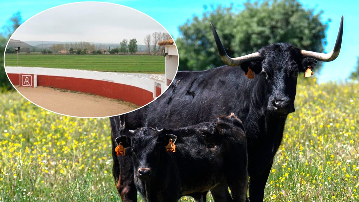 Finca Aranjuez