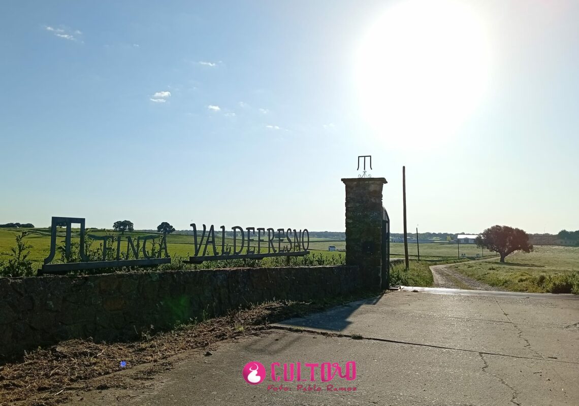 Fraile Valdefresno (28)