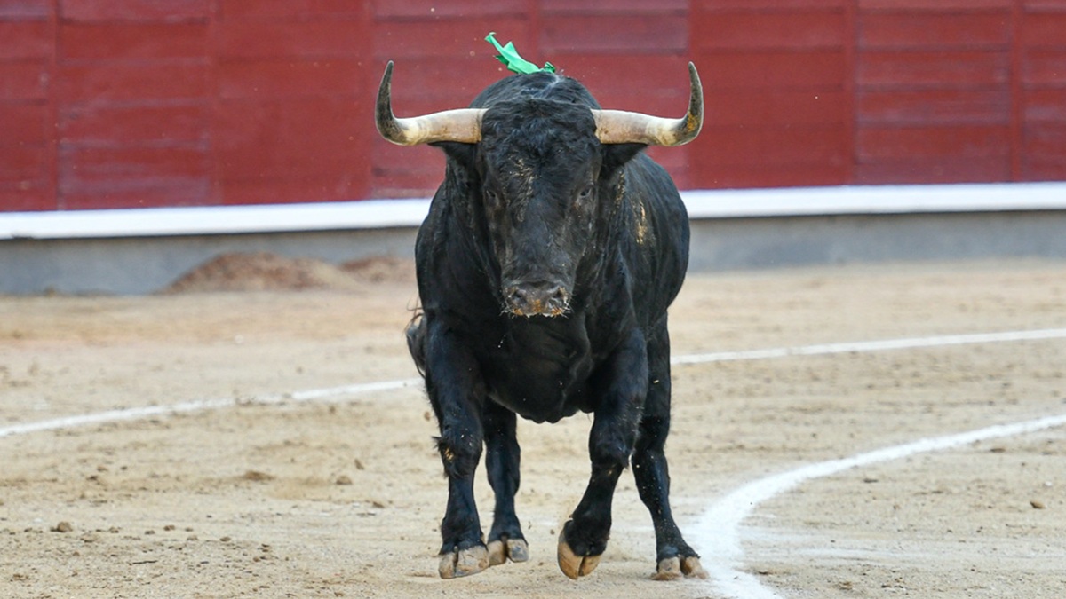 Fuente Ymbro
