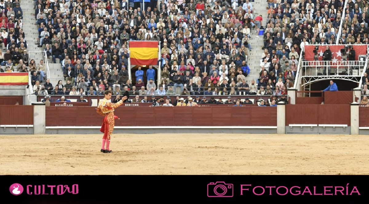 Galeria