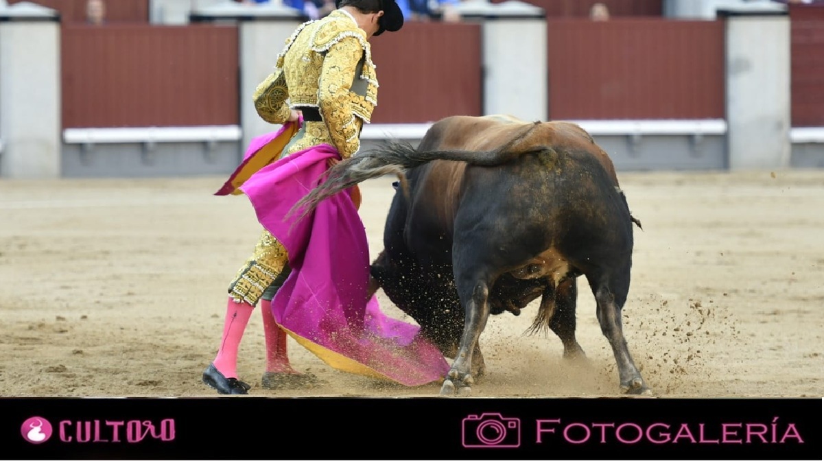 Galeria