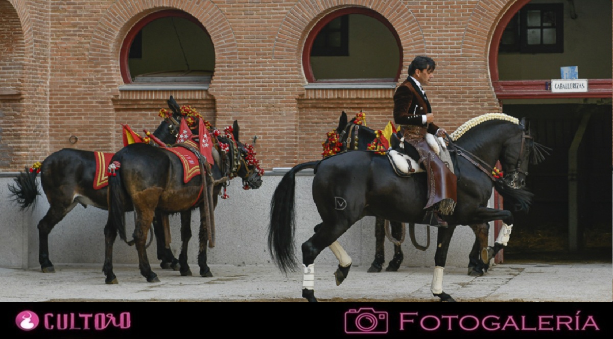 Galeria