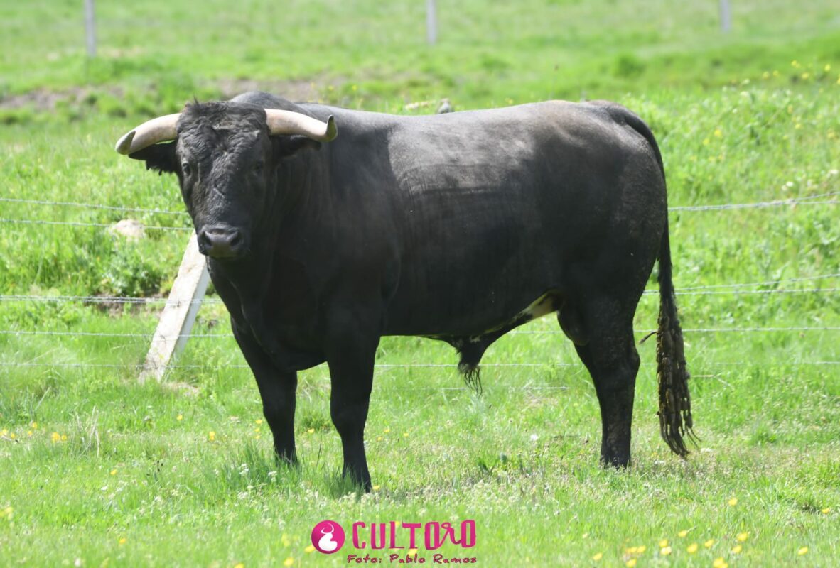 Hoyo Gitana (11)