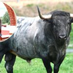 Hoyo Gitana