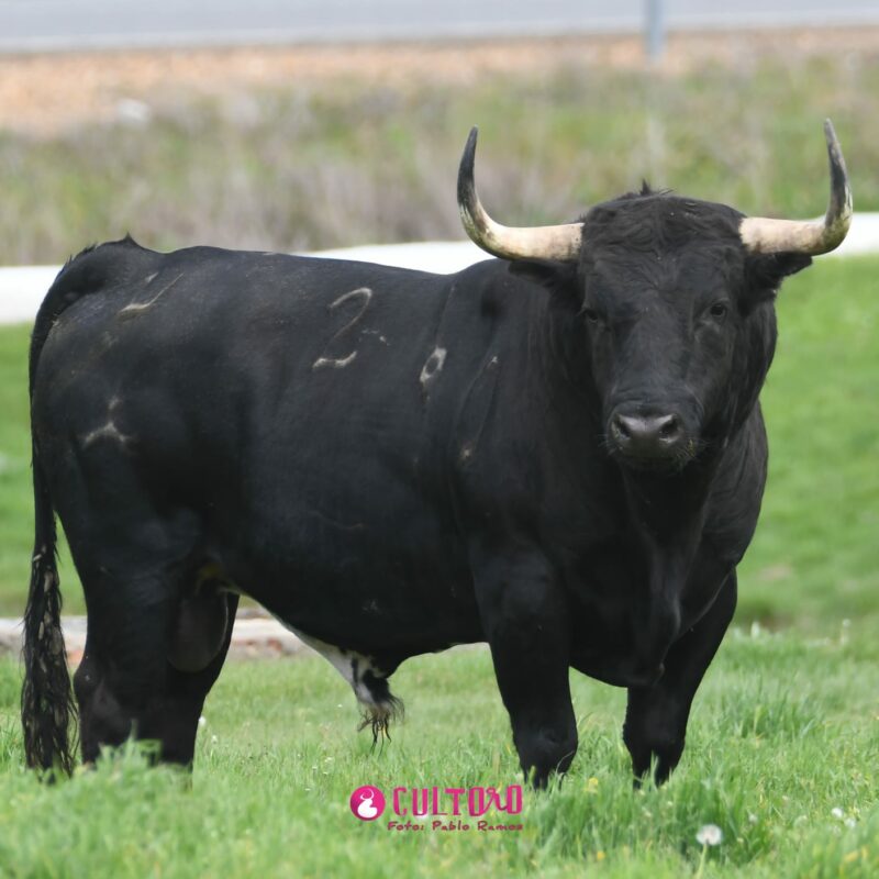 Hoyo Gitana (20)