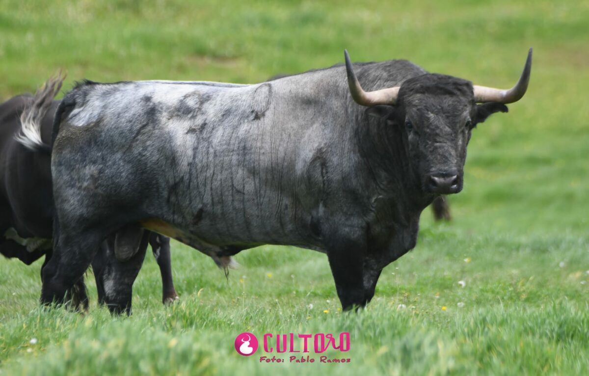 Hoyo Gitana (21)