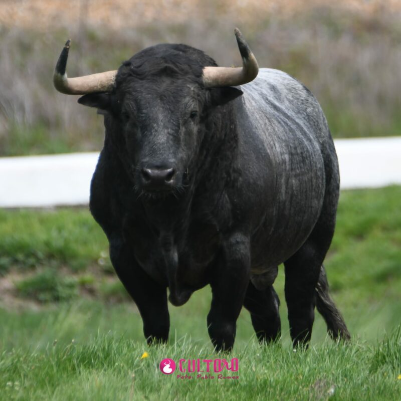 Hoyo Gitana (24)