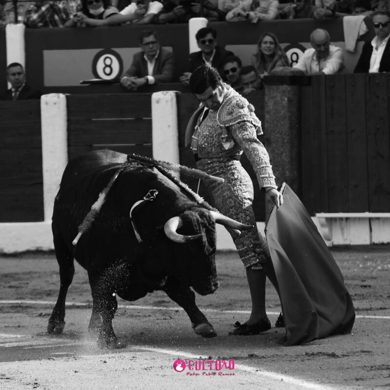 Jose Antonio (17)