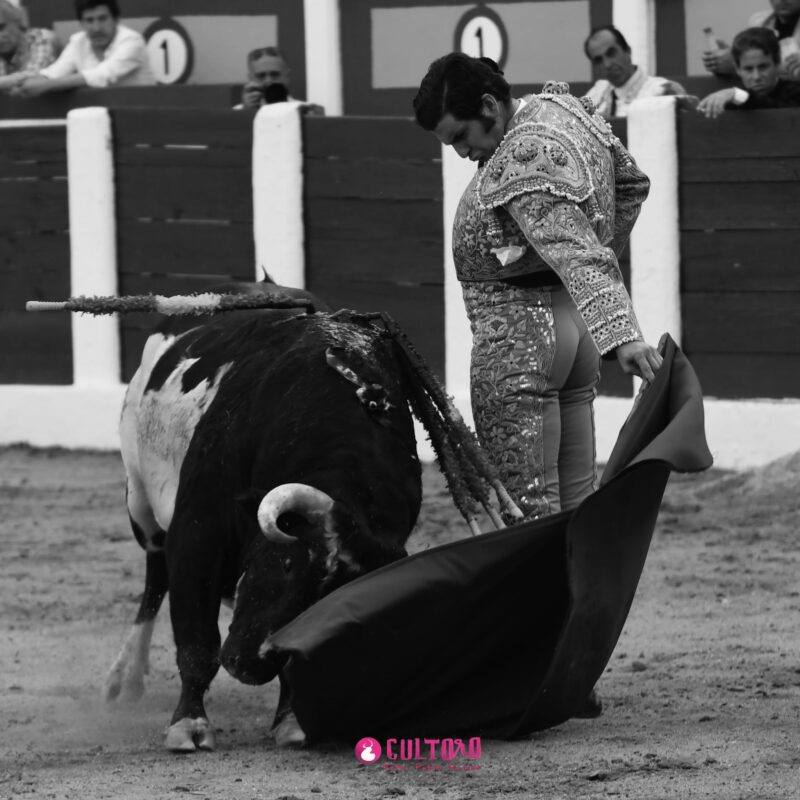 Jose Antonio (27)