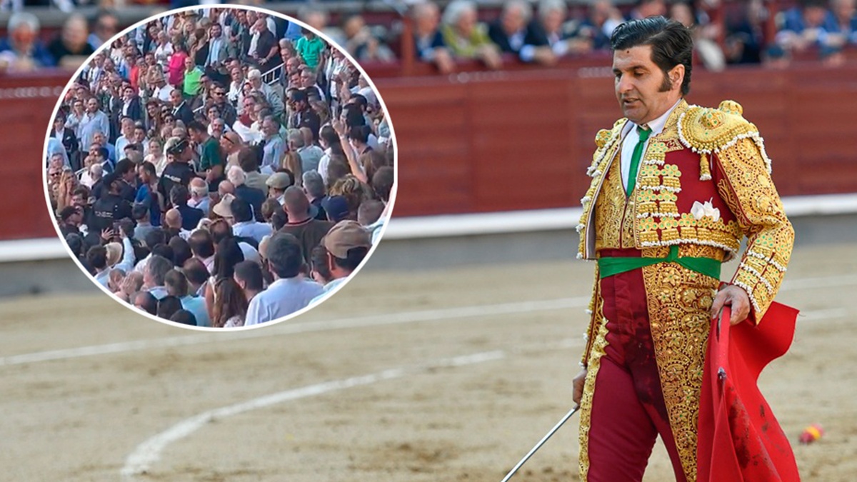 Morante Obra+