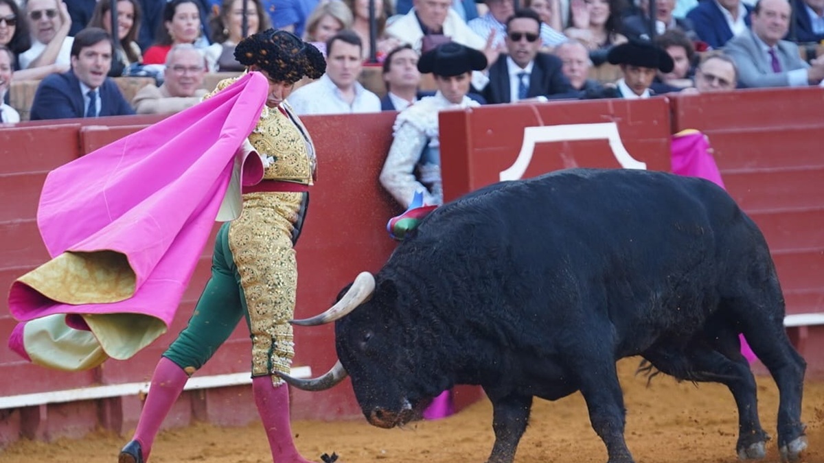 Morante Sin Editar (2)