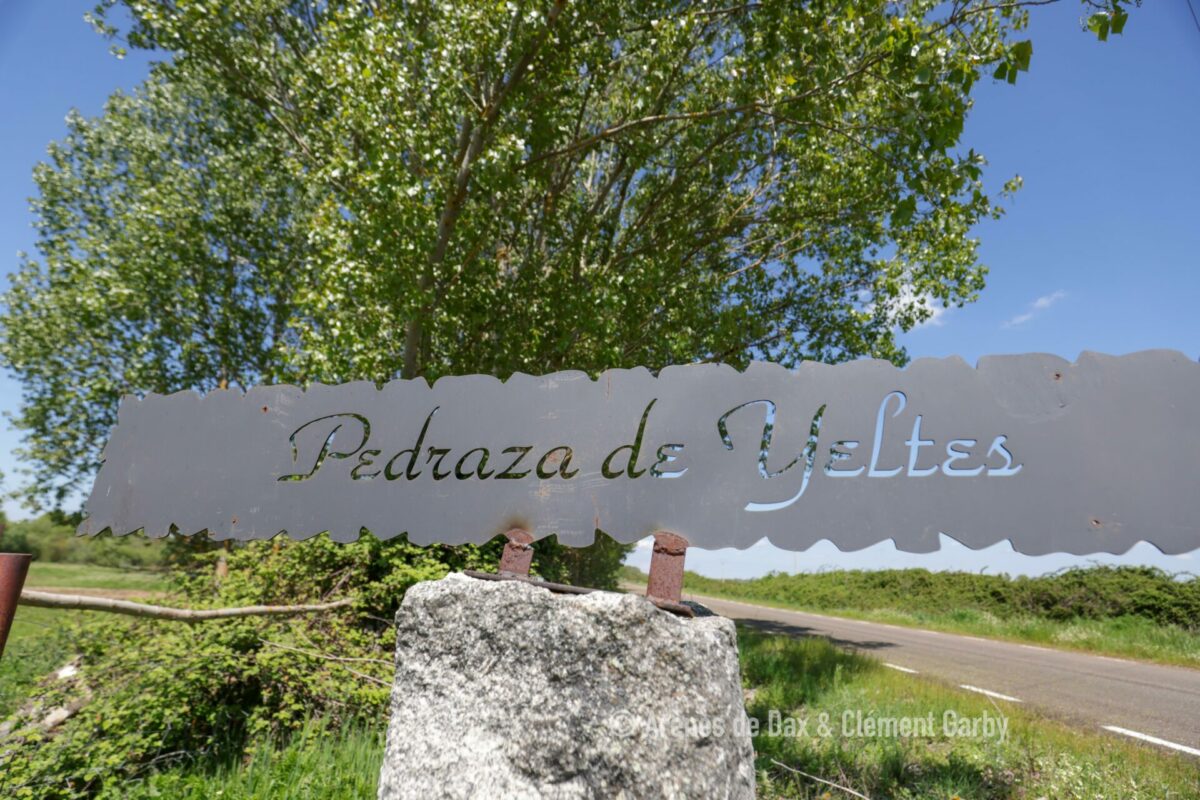 Pedraza (10)