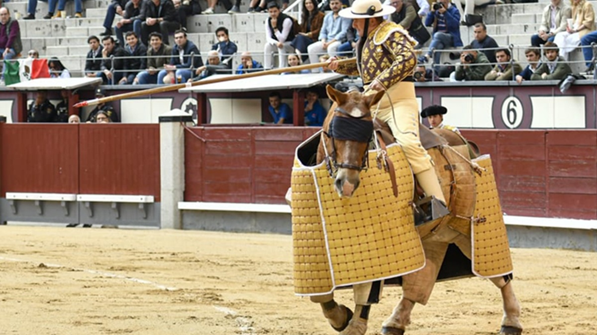 Picador