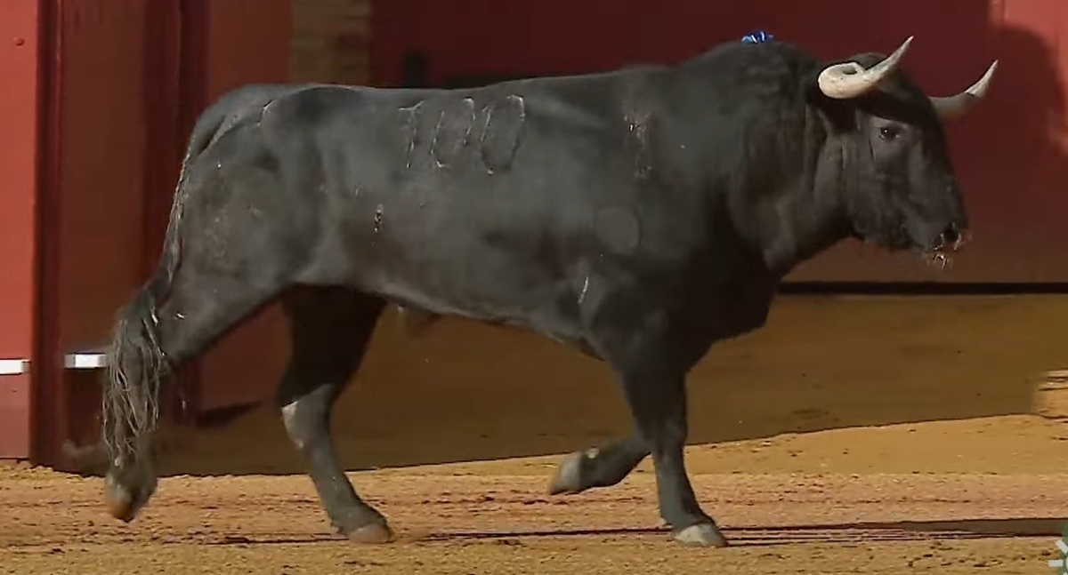 Venerado