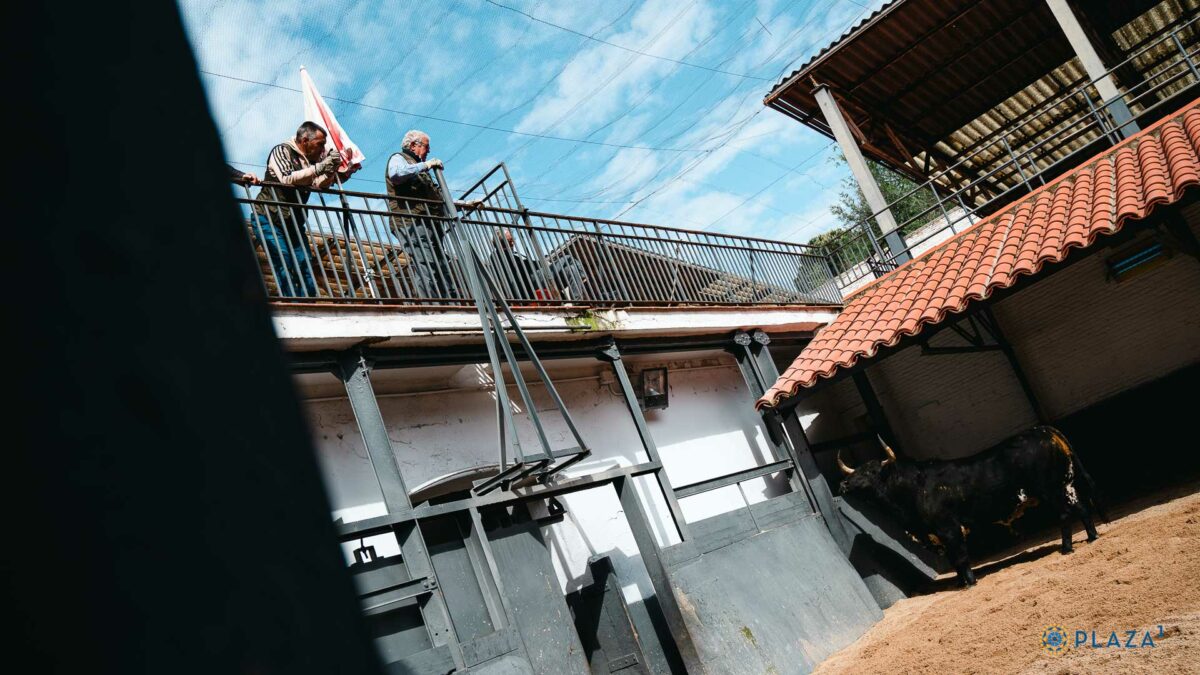 Victoriano Rio (9)