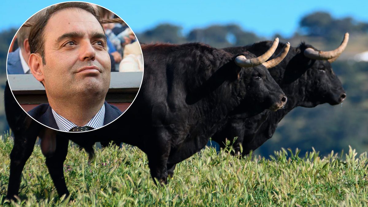 Zuñiga
