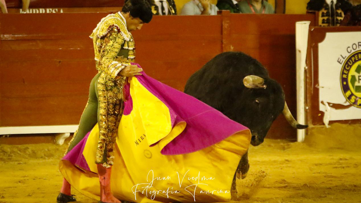 24 David De Miranda