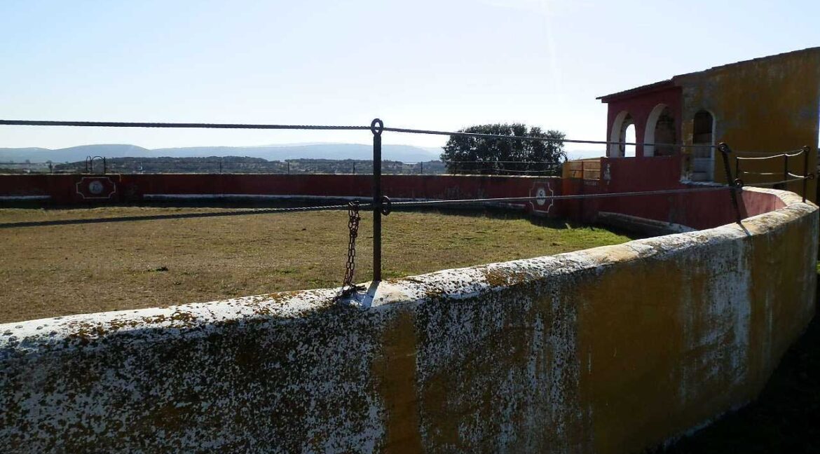 608 Fincas En Venta 001 1170x648