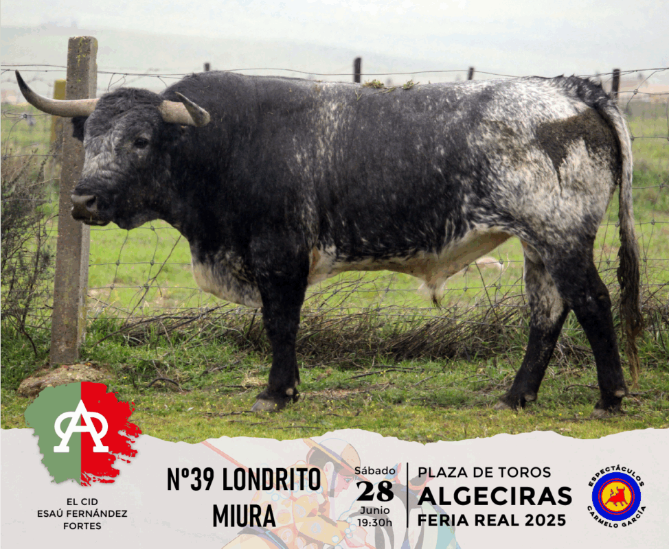 Algeciras Miura 39