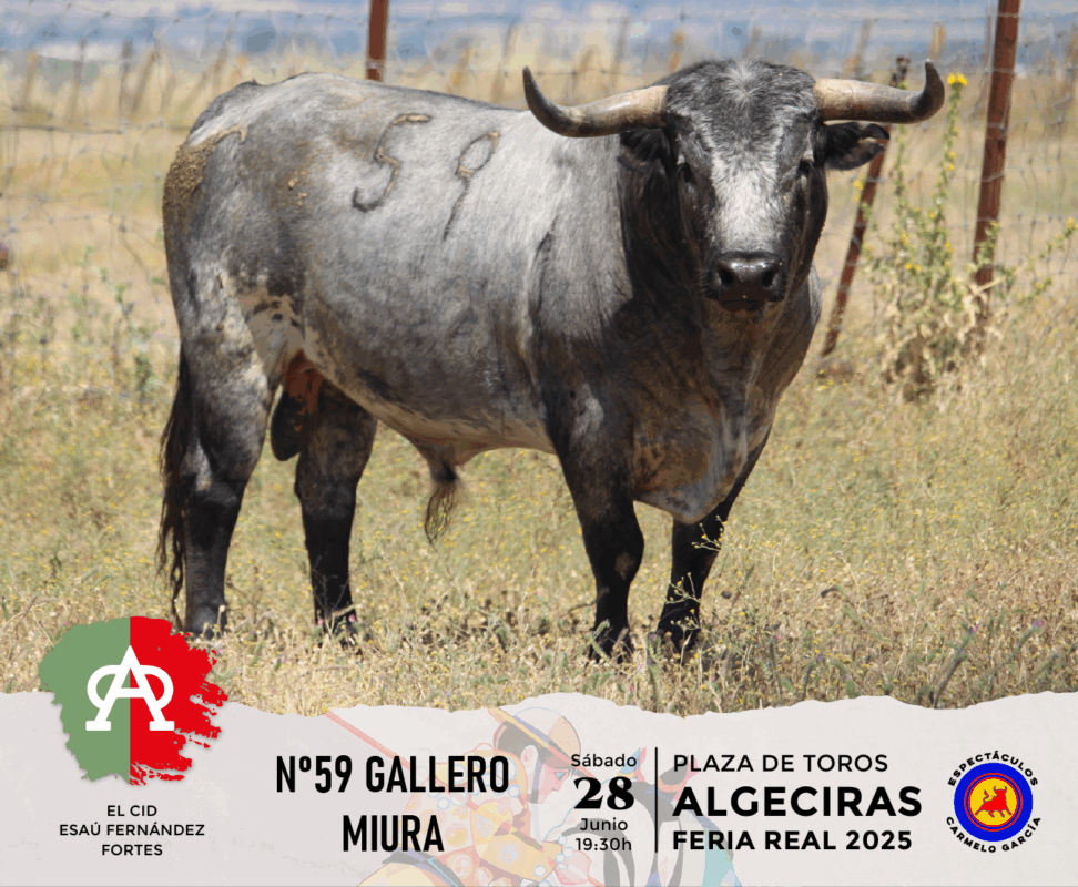 Algeciras Miura 59