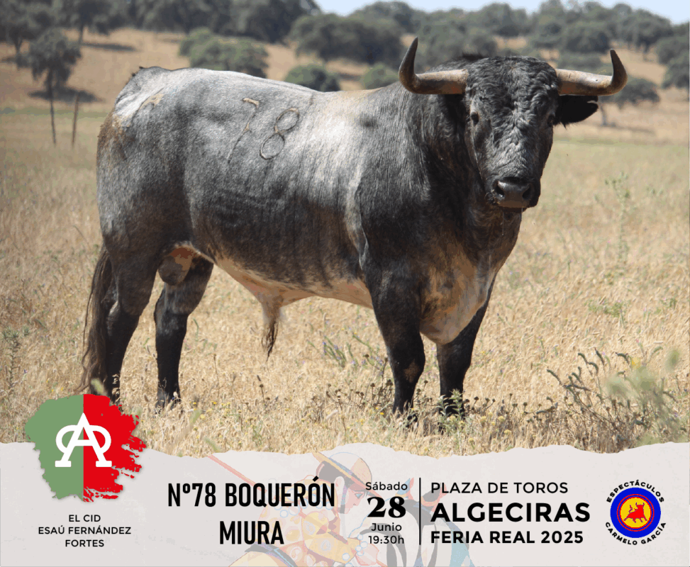 Algeciras Miura 78