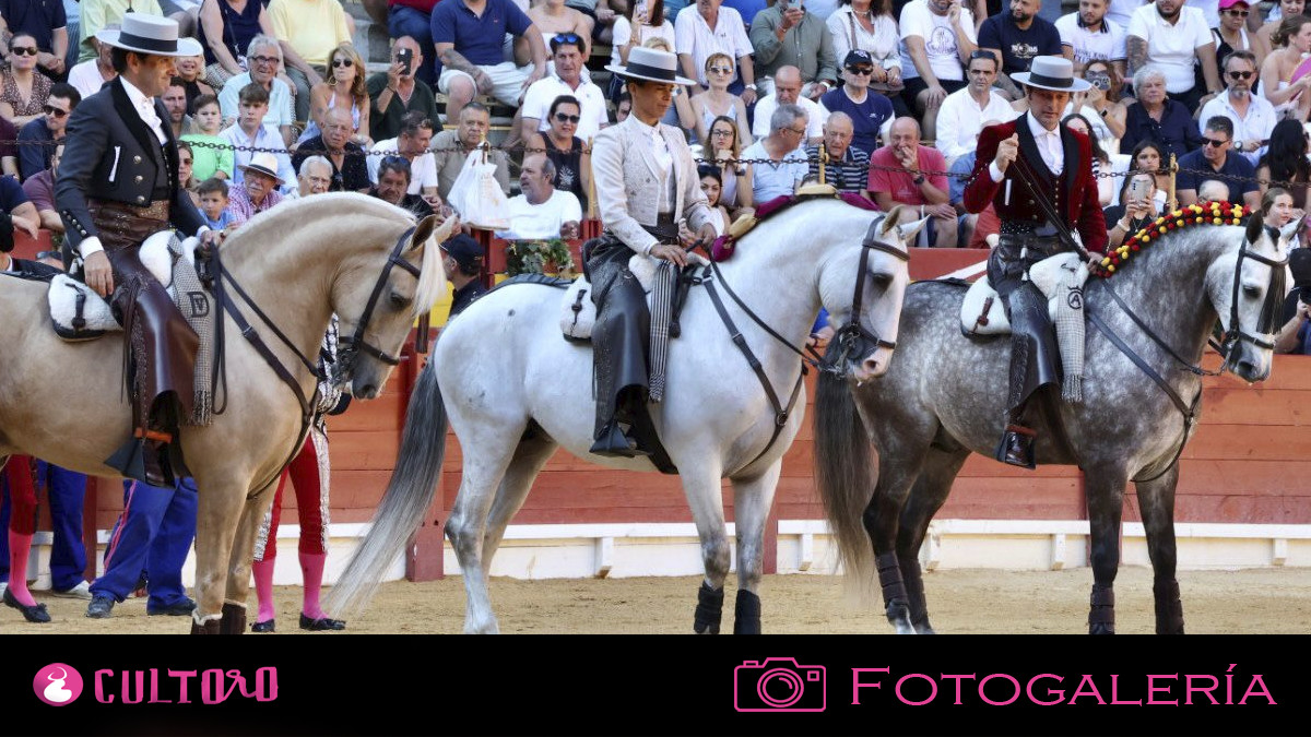 Alicante